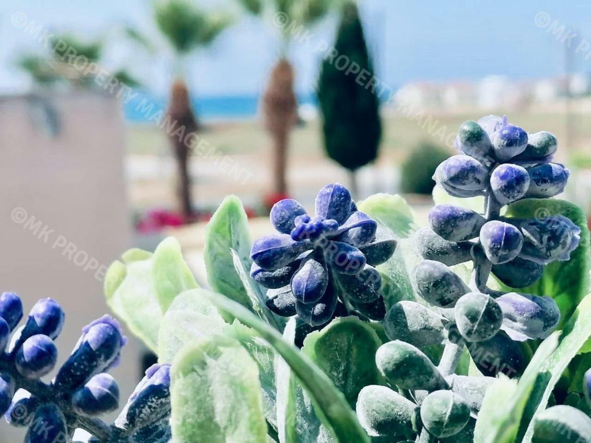 Lysia Sea-View Apartment Larnaca Dış mekan fotoğraf
